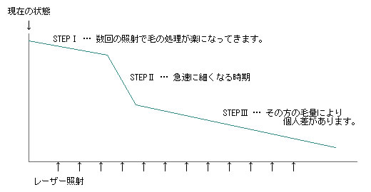 毛の減少傾向